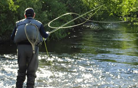 Borrows fisher