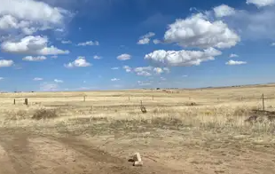 Uruguasho Hunt